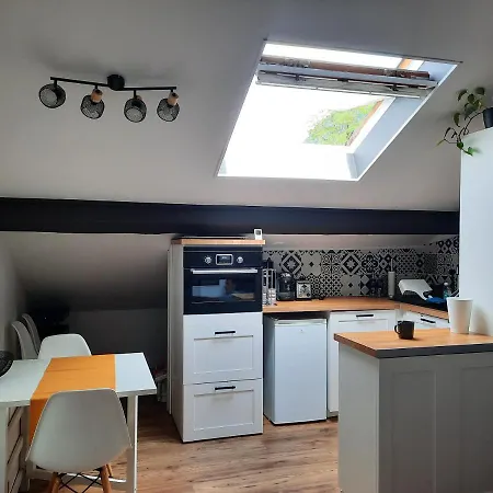 아파트 Superbe Pour 2, Au Coeur De L'ariege! *
